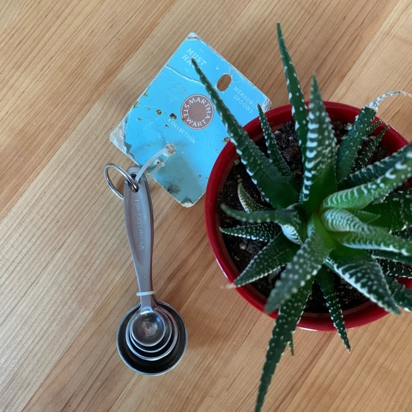 Martha Stewart Other - Martha Stewart measuring spoons – set of 4